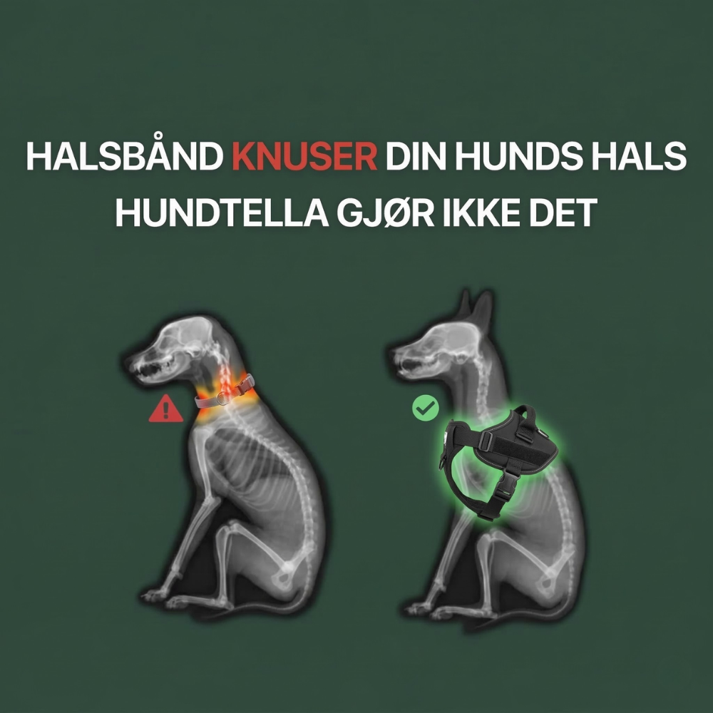 TacDogs Anti-trekk & Finn Hjem-sele
