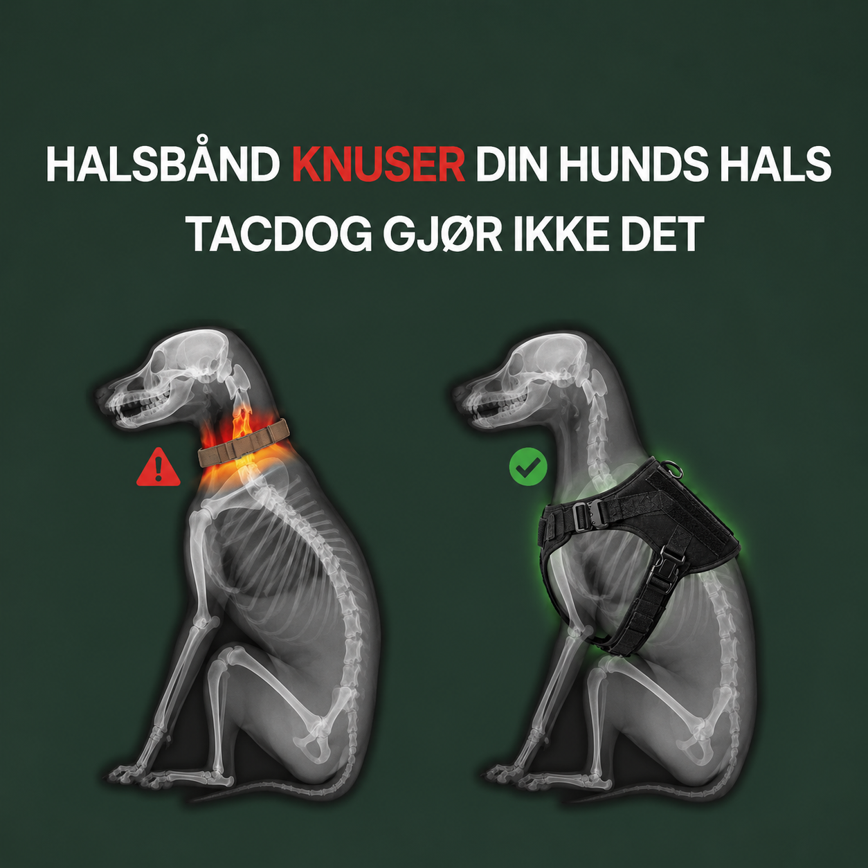 TacDogs Anti-trekk & Finn Hjem-sele