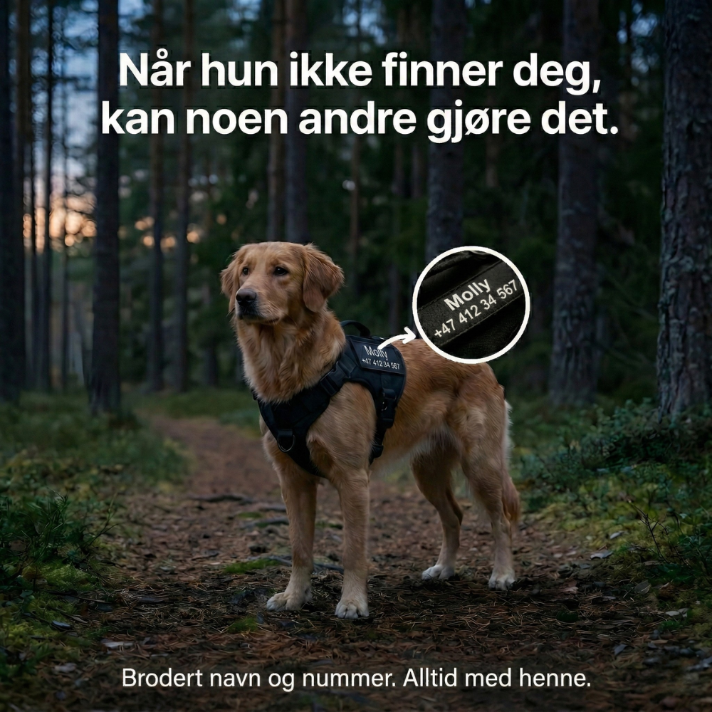 TacDogs Anti-trekk & Finn Hjem-sele