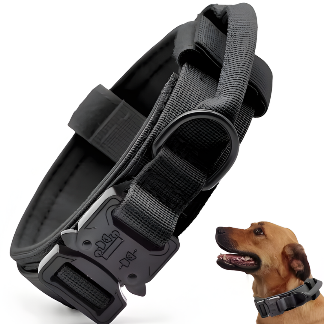 TacDog Command-halsbånd
