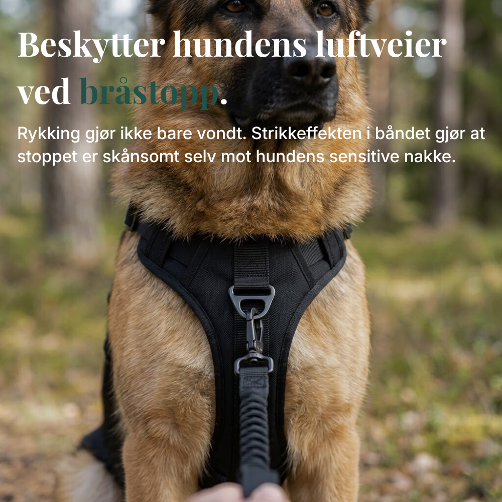 TacDogs Anti-trekk & Finn Hjem-sele